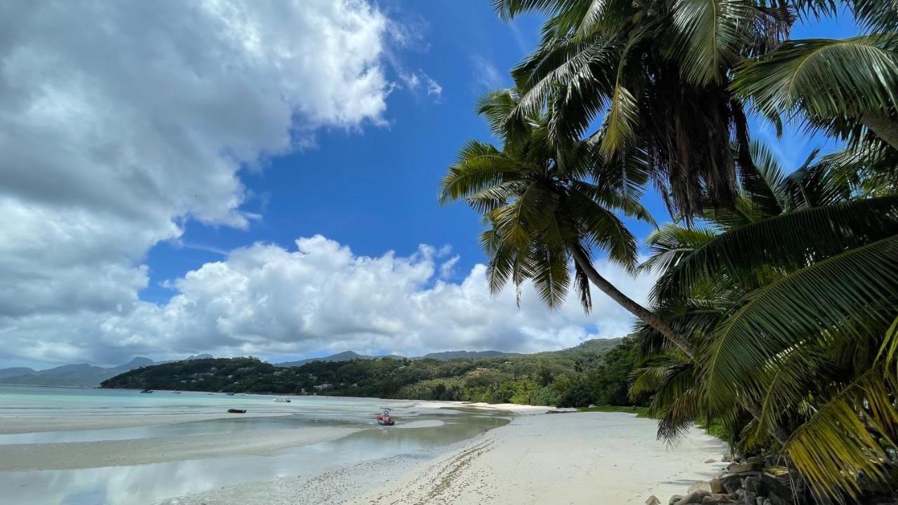 La Trouvaille Aparthotel Anse a La Mouche Luaran gambar