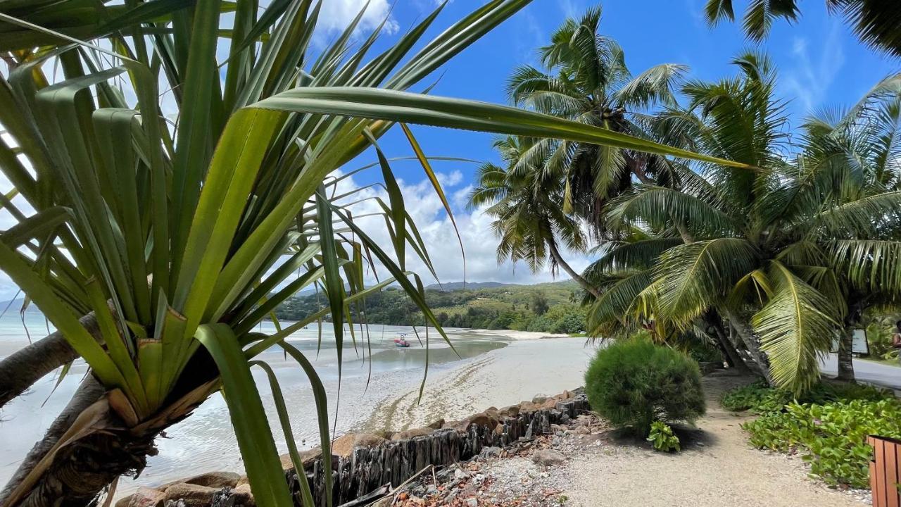 La Trouvaille Aparthotel Anse a La Mouche Luaran gambar
