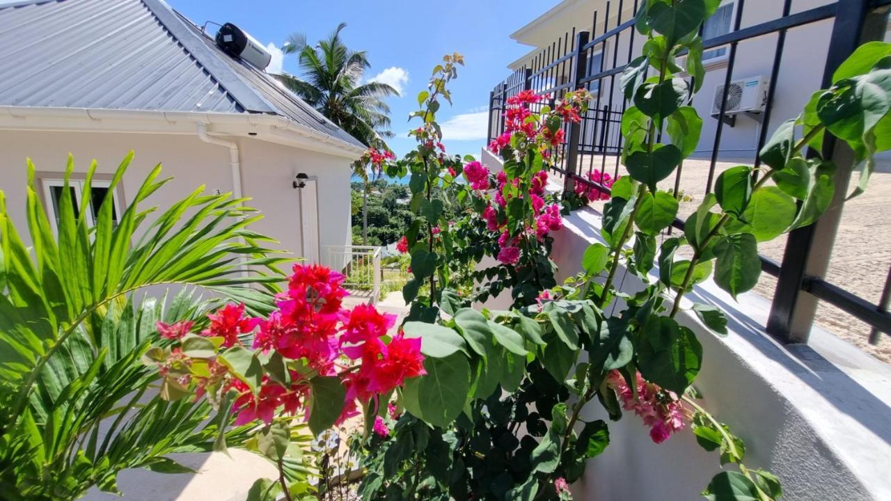 La Trouvaille Aparthotel Anse a La Mouche Luaran gambar