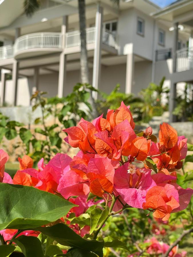 La Trouvaille Aparthotel Anse a La Mouche Luaran gambar