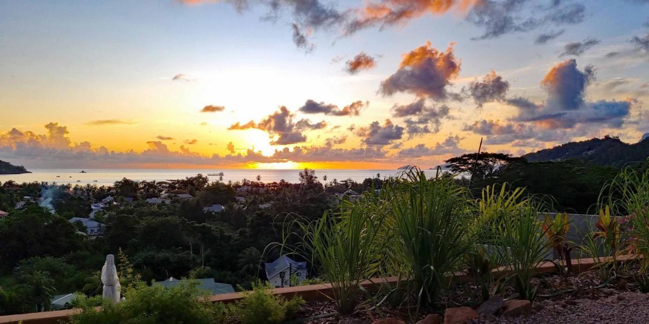 La Trouvaille Aparthotel Anse a La Mouche Luaran gambar