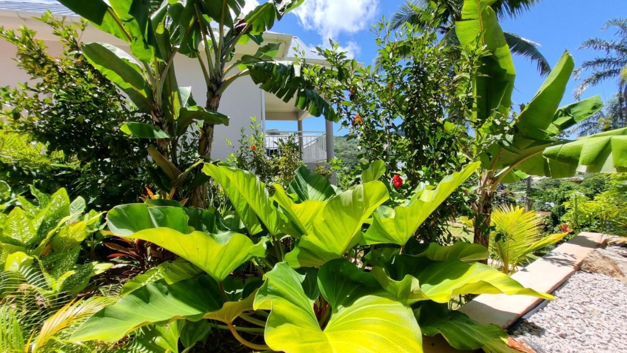 La Trouvaille Aparthotel Anse a La Mouche Luaran gambar